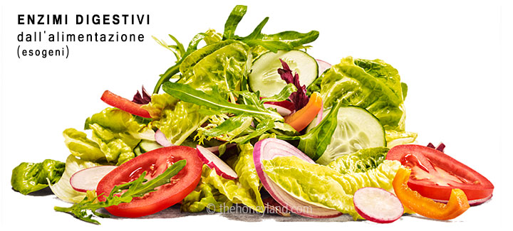 Enzimi digestivi naturali dalle verdure crude e freschi