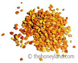 Polline proprietà nutrizionali - granuli
