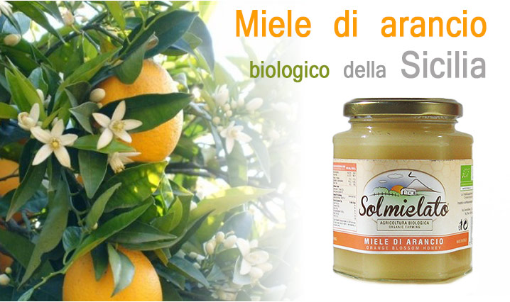 Gelato allo yogurt e miele di arancio biologico di Sicilia 