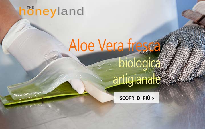 Aloe Vera fresca biologica