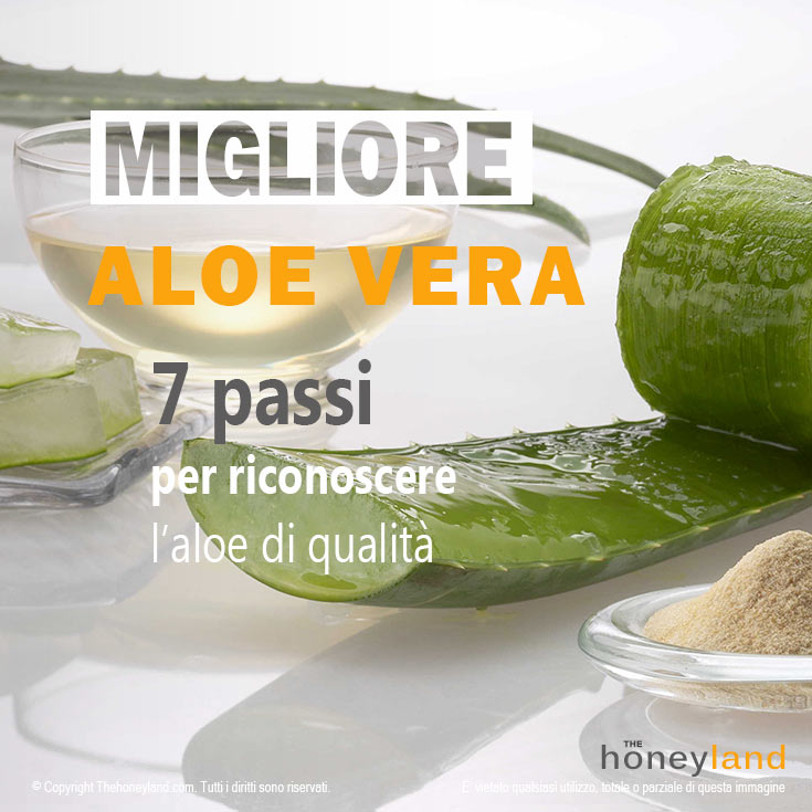 Migliore Aloe Vera in commercio - 7 passi per riconoscere l'aloe di qualità
