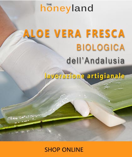Aloe vera biologica fresca artigianale Andalusia