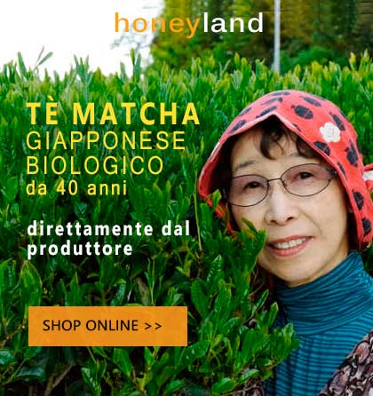 Tè Matcha biologico giapponese artigianale The Honeyland