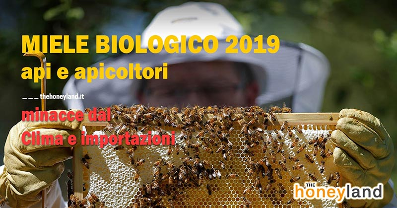 Miele biologico e api 2019 minacce clima e importazioni