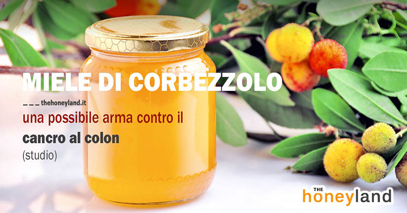 Alimento antitumorale colon: miele di corbezzolo grezzo