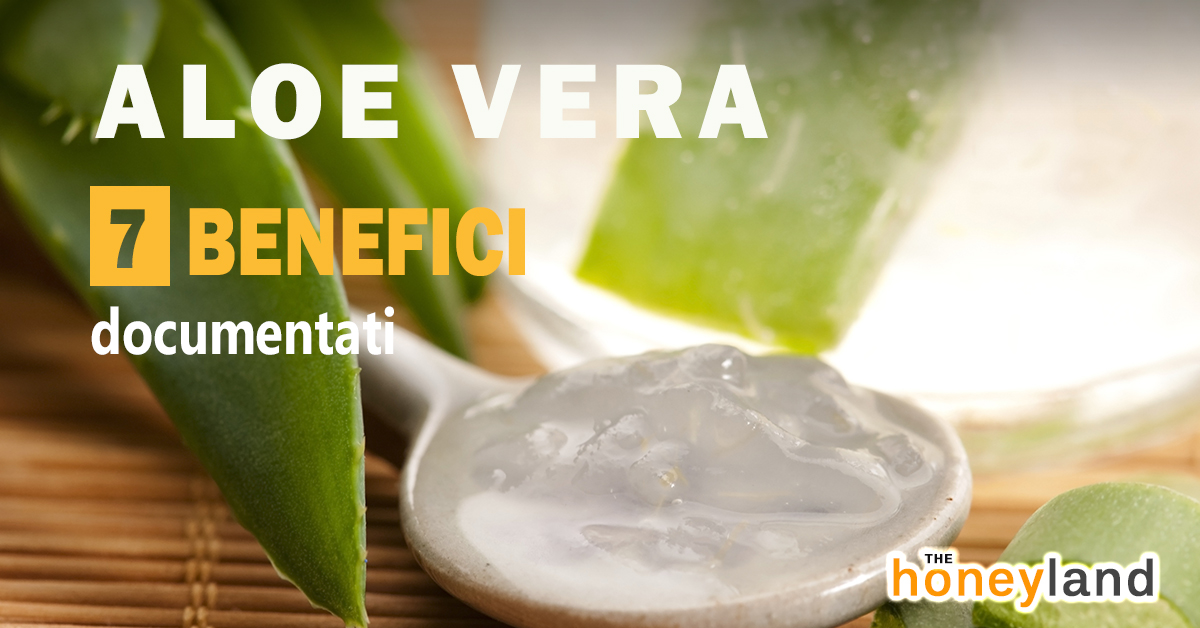 Aloe vera: 7 benefici documentati dell'Aloe fresca - The ...