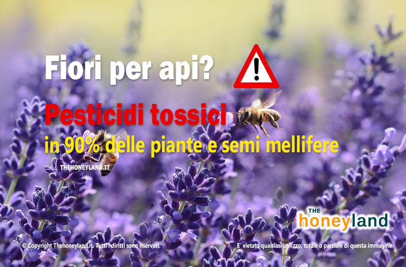 Fiori per le api: pesticidi tossici in 90% delle piante e semi 